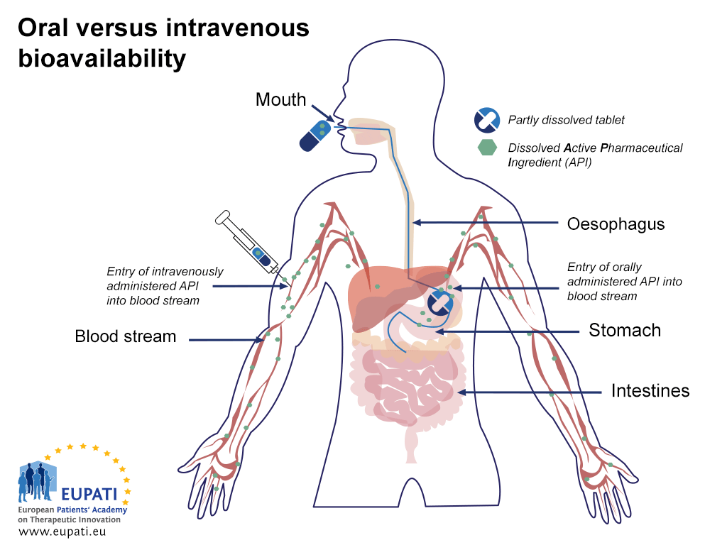 Diagram showing the difference in bioavailability between oral and intravenous administration of a medicine. When a medicine is administered intravenously, the dissolved Active Pharmaceutical Ingredient (API) is available in the blood stream immediately. When a medicine is administered orally, it travels from the mouth via the oesophagus into the stomach. There, the tablet begins to dissolve. Only then does the dissolved API begin to enter the blood stream.